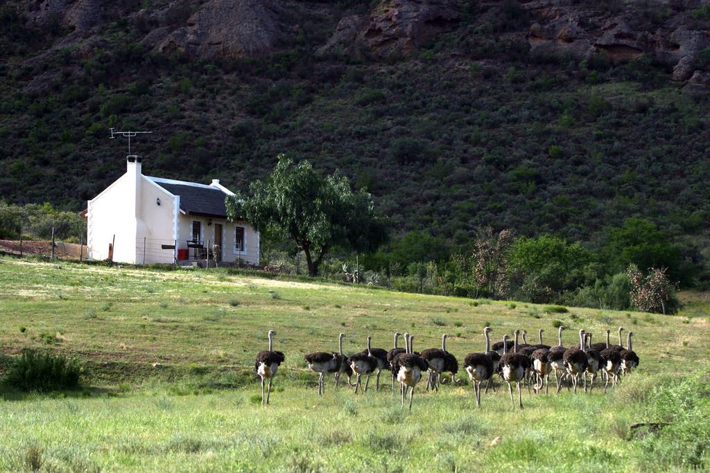 Red Stone Hills Villa Buffelskloof Екстериор снимка